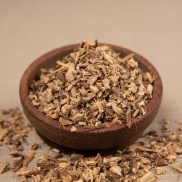 Blassfarbene Sonnenhutwurzel
