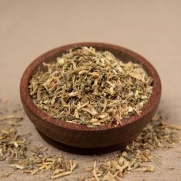 Erdstachelnuss Kraut