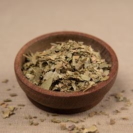 Esskastanienblätter