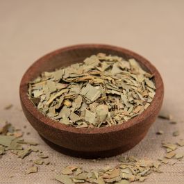 Eucalyptus - Blätter