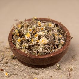 Gänseblümchen