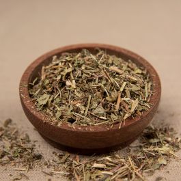 Gundelrebenkraut