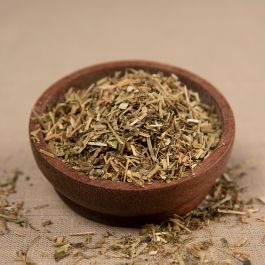 Hohlzahn Kraut