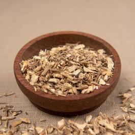 Mäusedorn