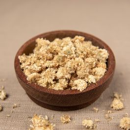 Römische Kamille