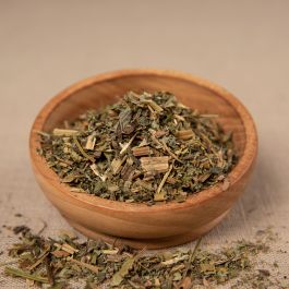 Schöllkraut