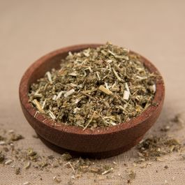 Weißer Andorn