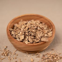 Zitwerwurzel