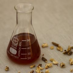 Angelika Wurzel Tinktur 1:3 (50%)