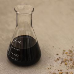 Copalchi Tinktur 1:3 (70%)