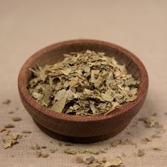 Esskastanienblätter