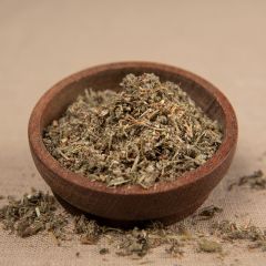 Gänsefingerkraut