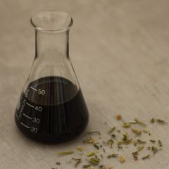 Stiefmütterchen Tinktur 1:3 (40%)