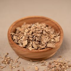 Zitwerwurzel