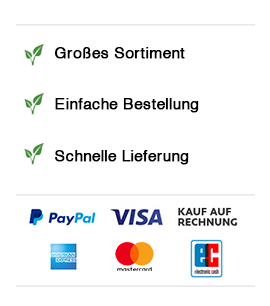 Zahlungsarten bei teemixer.de